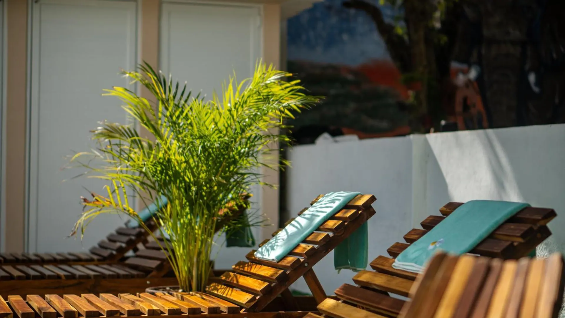 Appartamento La Quinta Caribena Playa del Carmen Messico